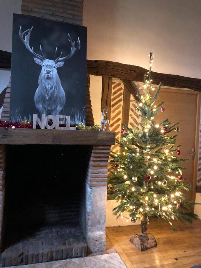 Location de vacances pour 8 personnes, avec jacuzzi et jardin à Bracieux - 3