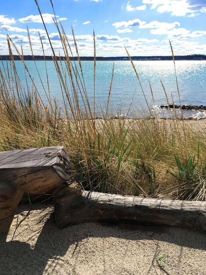 Ferienwohnung für 2 Personen, mit Ausblick und Seeblick sowie Garten in Neukieritzsch - 4