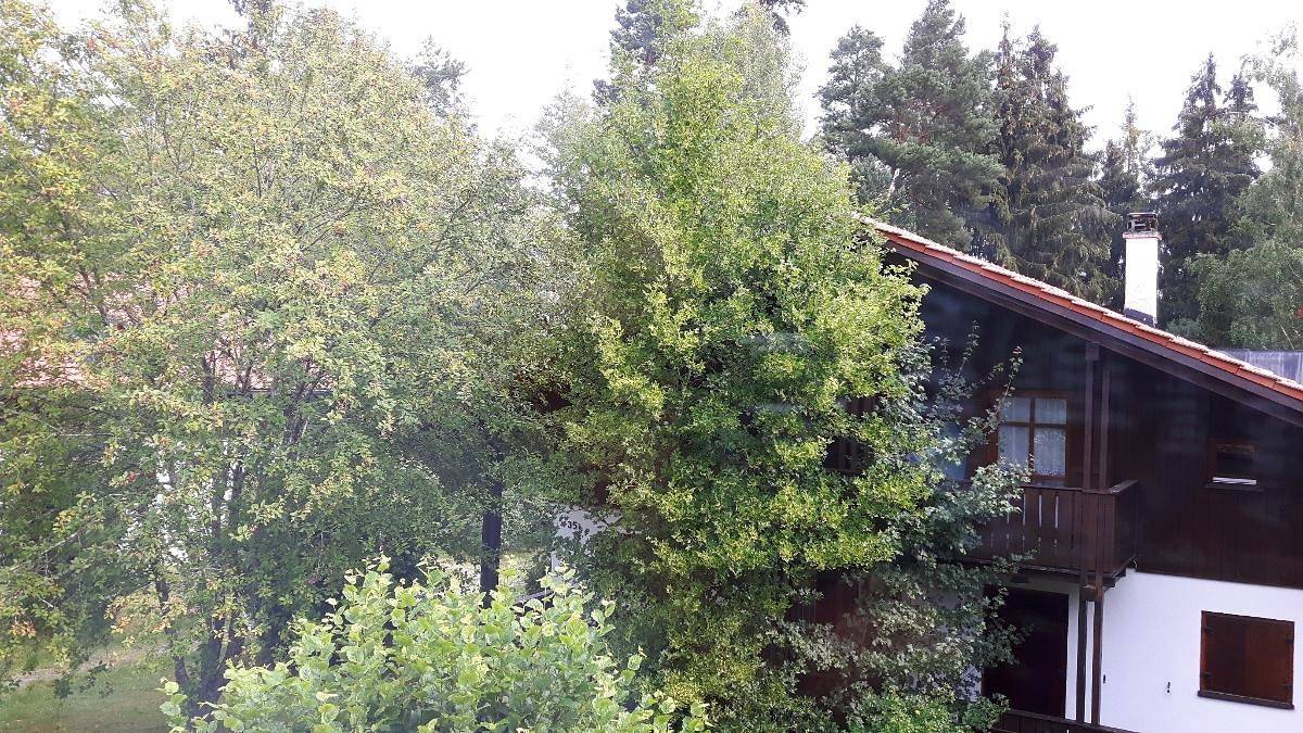 Ganze Wohnung, Ferienhaus Virzi - Waldferiendorf Regen - Haus Virzì für 2 Personen mit Terrasse, Garten und Balkon in ruhiger Lage in Regen (Ostbayern), Ostbayern