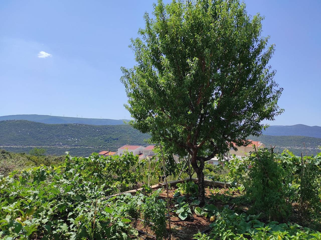 Ganze Wohnung, Apartment mit einem Schlafzimmer und eigenem Parkplatz in Neum, Bosnien und Herzegowina