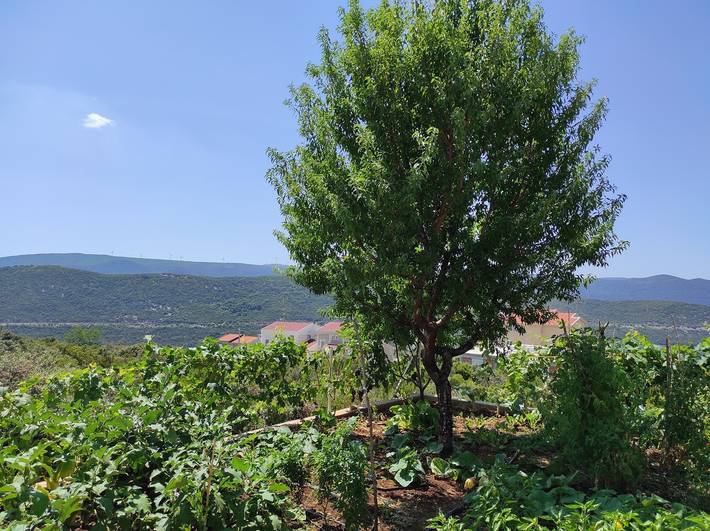 Gîte pour 5 personnes dans Neum - 2