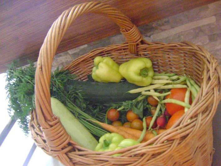 Maison d’hôte pour 2 personnes, avec jardin et vue dans Međugorje - 4