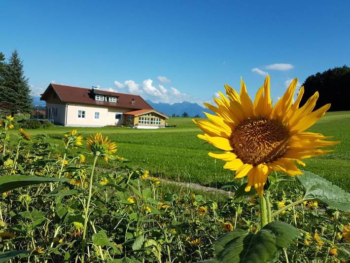 Ferienwohnung für 4 Personen, mit Balkon und Terrasse sowie Garten und Ausblick in Rimsting - 3