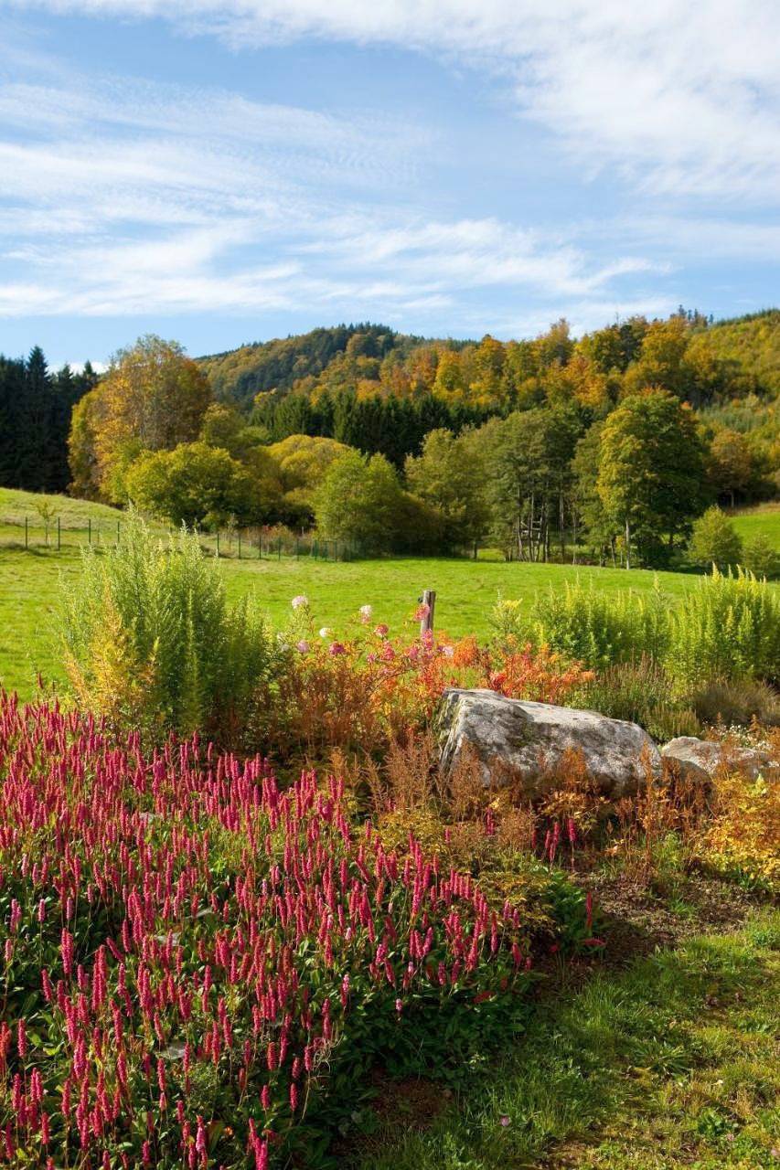 Chambre d'hôtes La Forestière in Le Hohwald, Région de Sélestat-Erstein