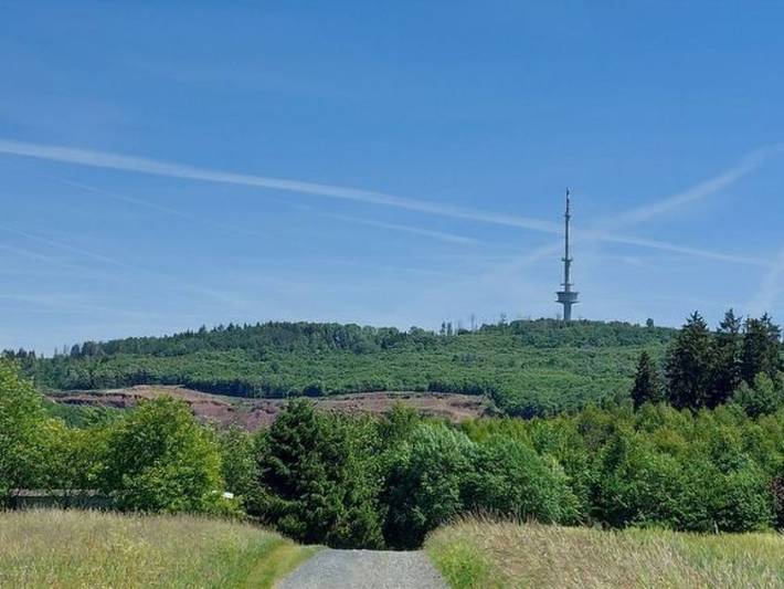 Ferienwohnung für 4 Personen, mit Garten und Pool in Naturpark Lahn-Dill-Bergland - 2