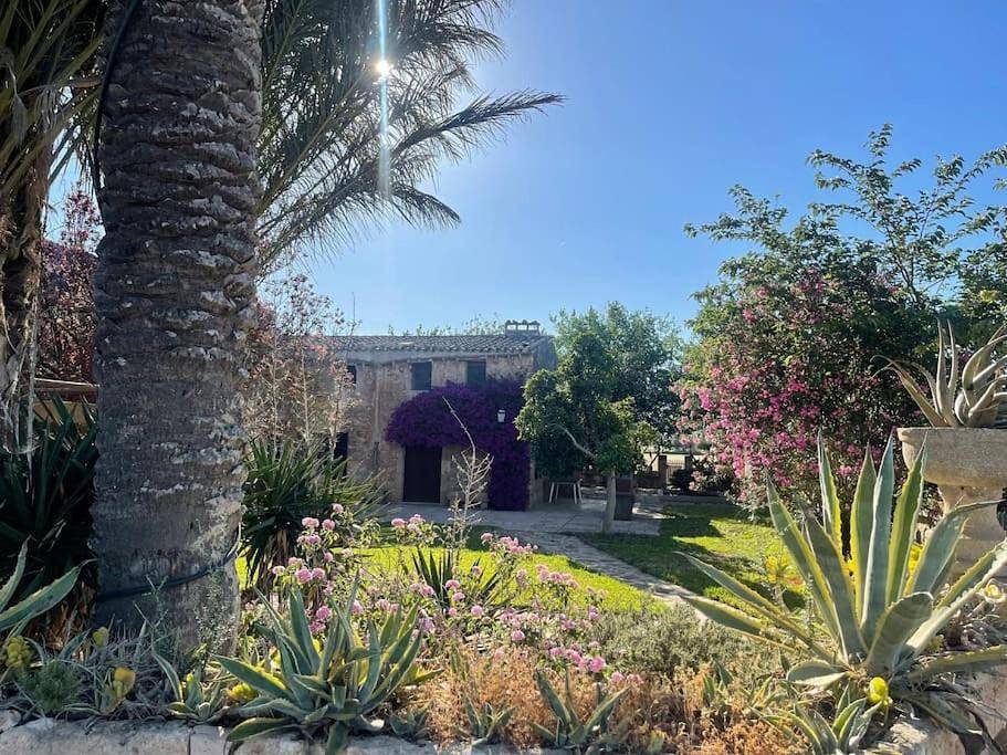 Four-Bedroom House in S'Aranjassa, Palma de Maiorca