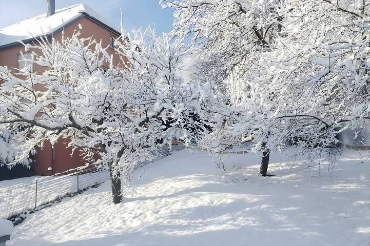 Gîte pour 4 personnes à Orbey