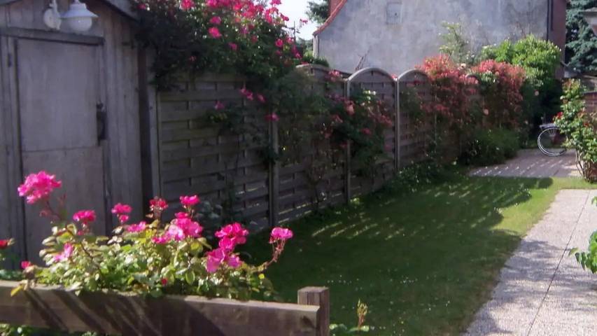 Bungalow für 2 Personen, mit Terrasse auf Föhr - 2