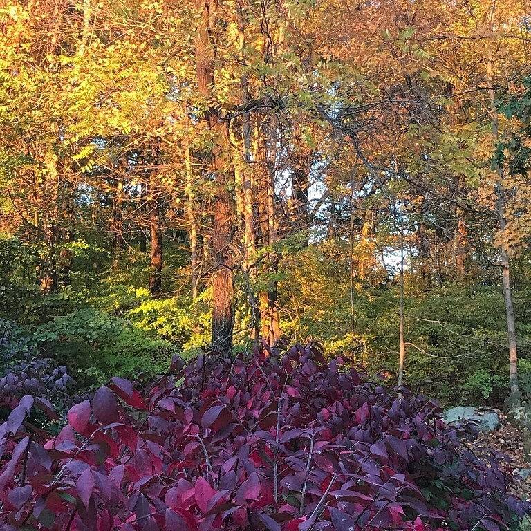 Expansive Land Haus, 7 Gelassene Acres mit Teich & Woods in Litchfield County