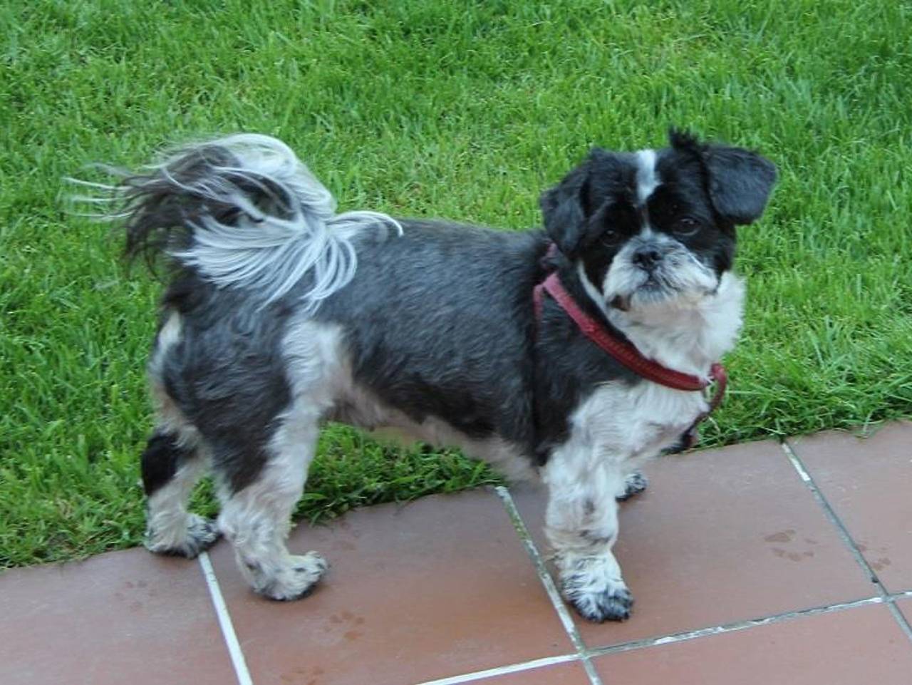 Bild 1