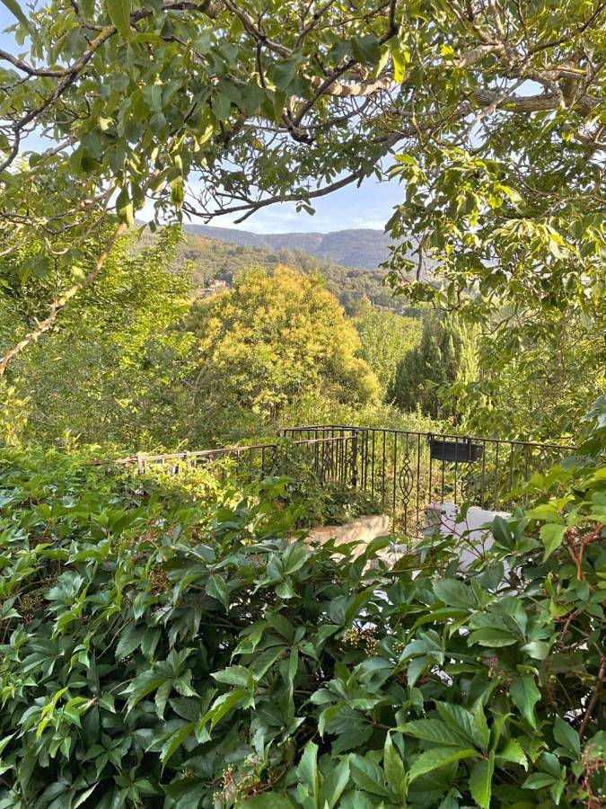 Maison d’hôte pour 2 personnes, avec vue et jardin, animaux acceptés dans Parc naturel régional du Haut-Languedoc - 2