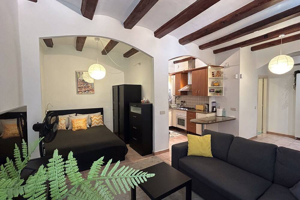 Spacious 1850 Raval 46m Loft. Ideal for Couples and Digital Nomads. Pet-Friendly in Barcelona Centre, Barcelone