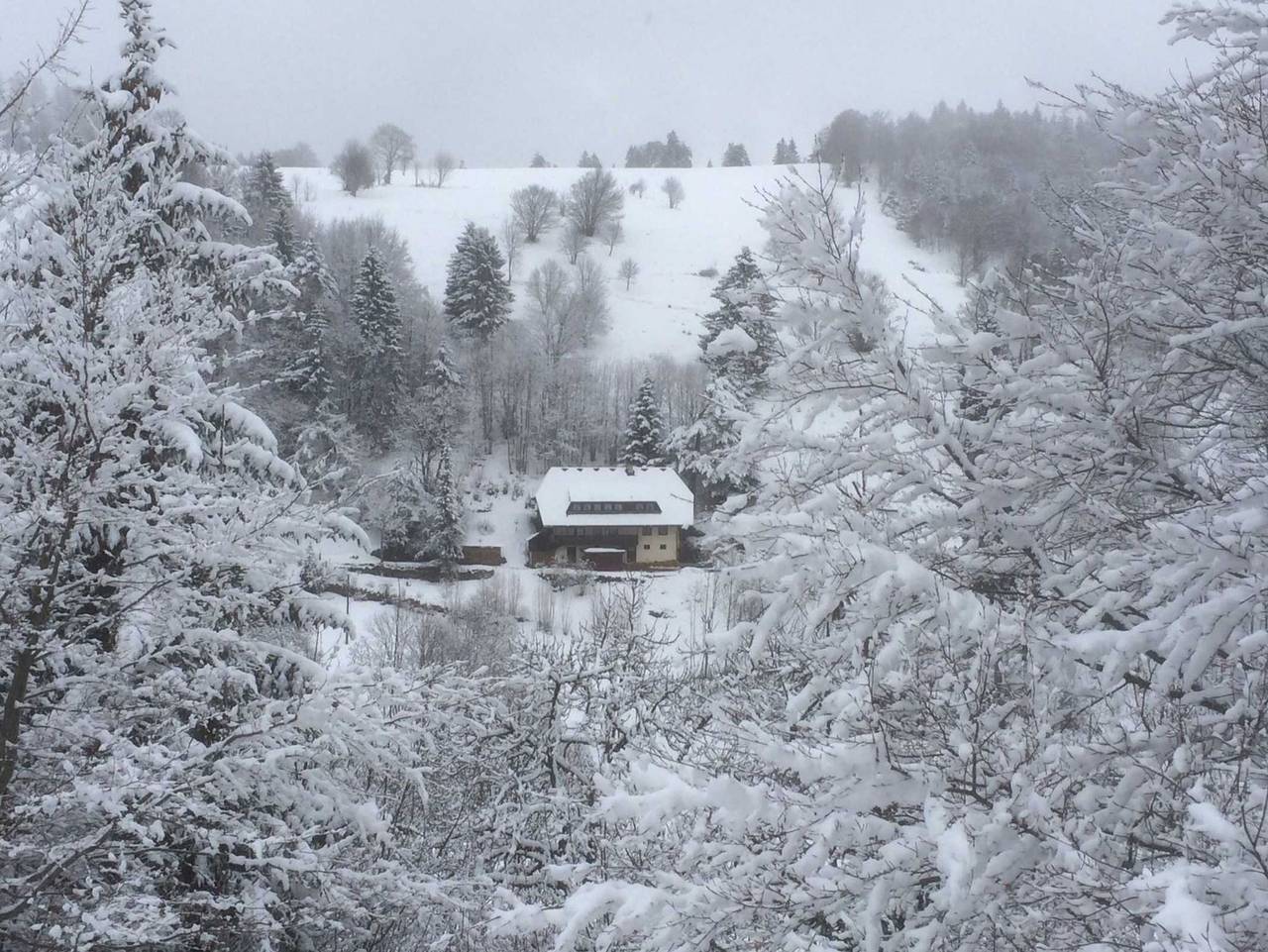 Ganze Ferienwohnung, Ferienhaus Rombach - Ferienwohnung A 42qm, 1 Schlafraum, 1 Wohn-/Schlafraum, max. 3 Personen , 1 - 3 Personen in Suedlicher Schwarzwald, Wieden