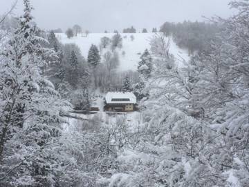 Ferienwohnung für 4 Personen in Suedlicher Schwarzwald, Wieden, Bild 4