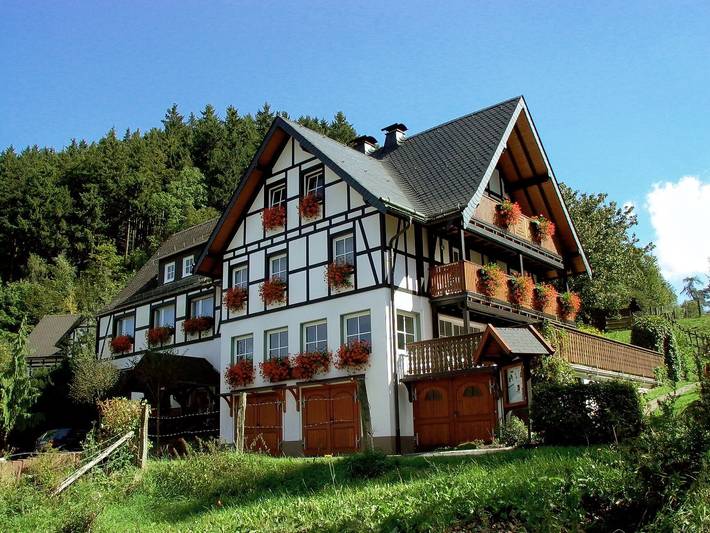 Lauras maison d’hôtes : chambre double confort type D avec balcon in Medebach, Upland