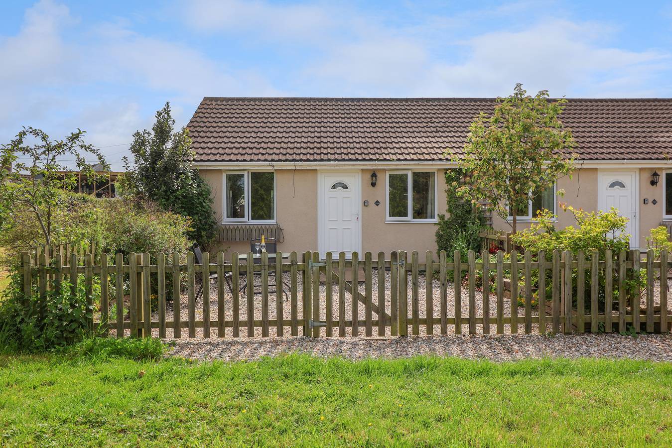 Mallard in Burnham Without, Somerset