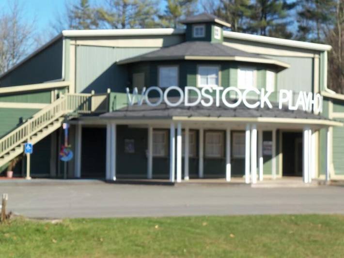 Log cabin for 4 people, with pool and terrace, with pets in Catskill Mountains