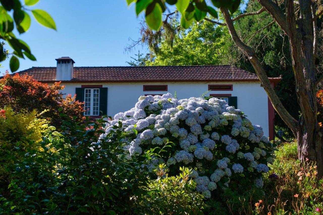 Two-Bedroom Chalet in Camacha, Madeira