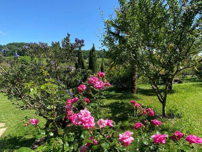 Chambre d’hôte pour 2 personnes, avec jardin et vue en Corrèze - 4