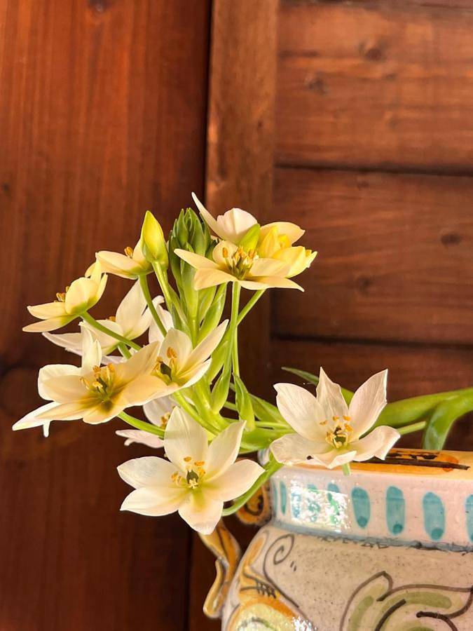 Location de vacances pour 10 personnes, avec vue ainsi que jardin et piscine à Agrigente - 4