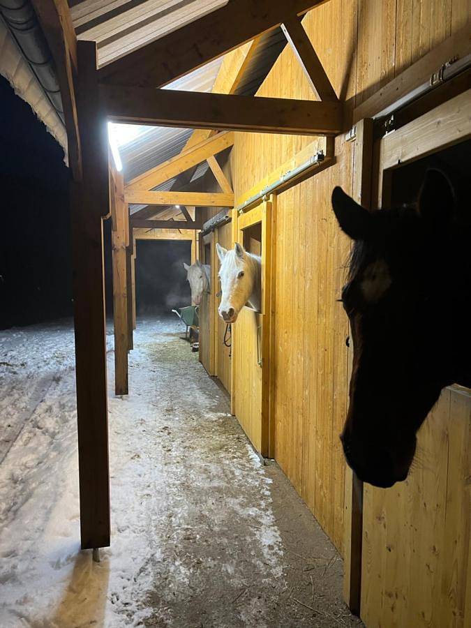 Chambre d’hôte pour 3 personnes, avec sauna et vue ainsi que terrasse et jardin, animaux acceptés à Vielsalm - 4