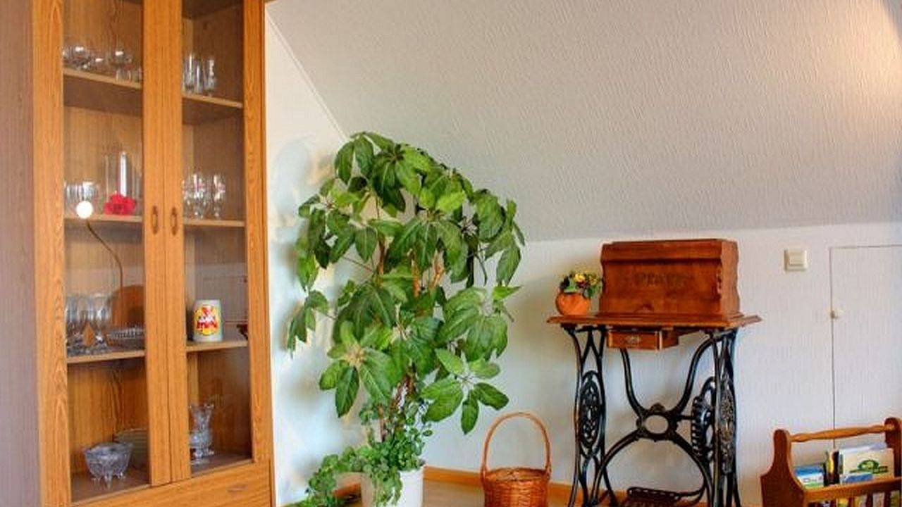 Ganze Ferienwohnung, Ferienwohnung für 2 Personen (65 m²) in Breisach am Rhein in Breisach am Rhein, Hochschwarzwald