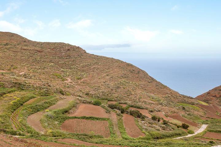 Finca für 3 Personen auf Teneriffa Nord - 3