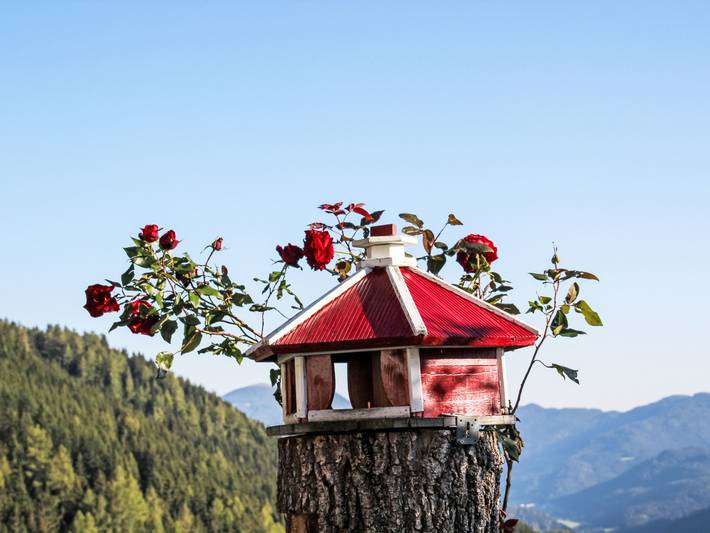 Ferienwohnung für 4 Personen, mit Balkon und Garten sowie Pool in Murau - 3