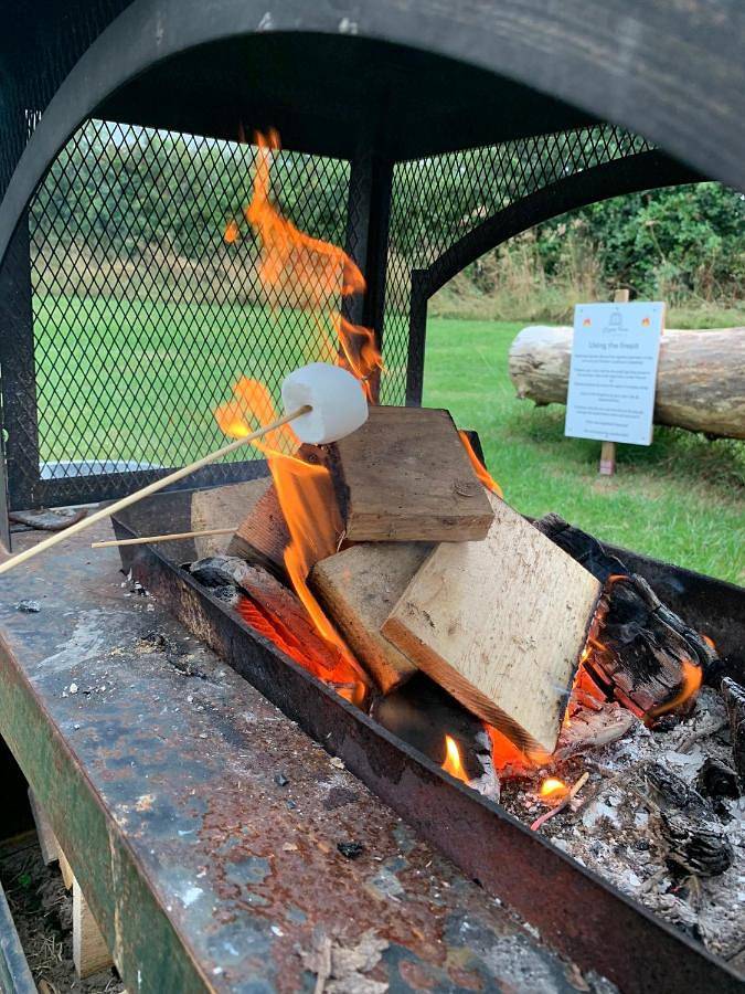 Laurel Farm Glamping in Brent Knoll, Somerset