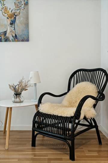 Ferieudlejning til 7 Personer i Kirke Hyllinge, Lejre Kommune, Billede 3