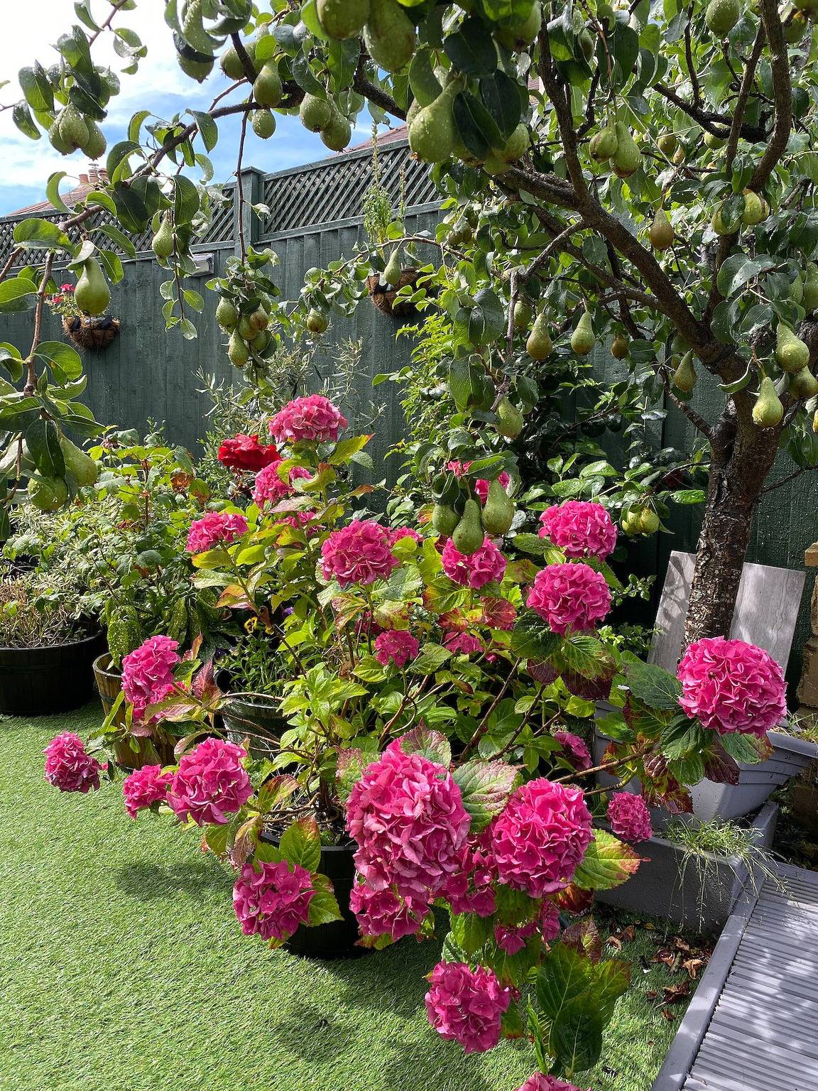 Ganze Wohnung, Privatwohnung in Wrose, Shipley, Bradford in Bradford, Westliches Yorkshire