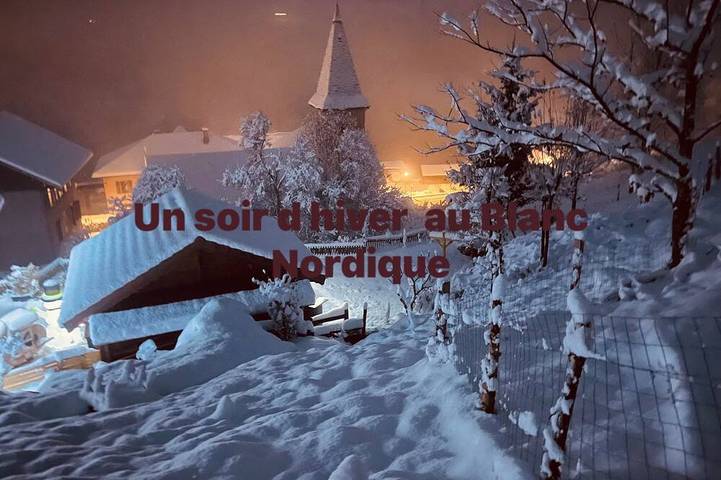 Chalet for 4 people, with hot tub and garden, with pets - 1