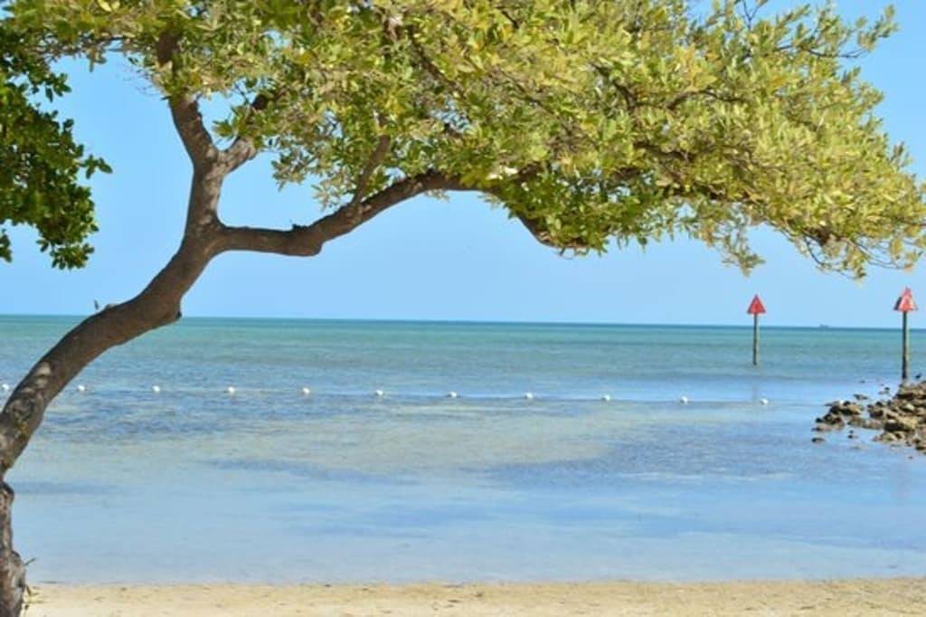 Ganze Wohnung, Atemberaubende 2 Schlafzimmer Oceanfront Suite mit herrlichem Blick in Tavernier, Monroe County