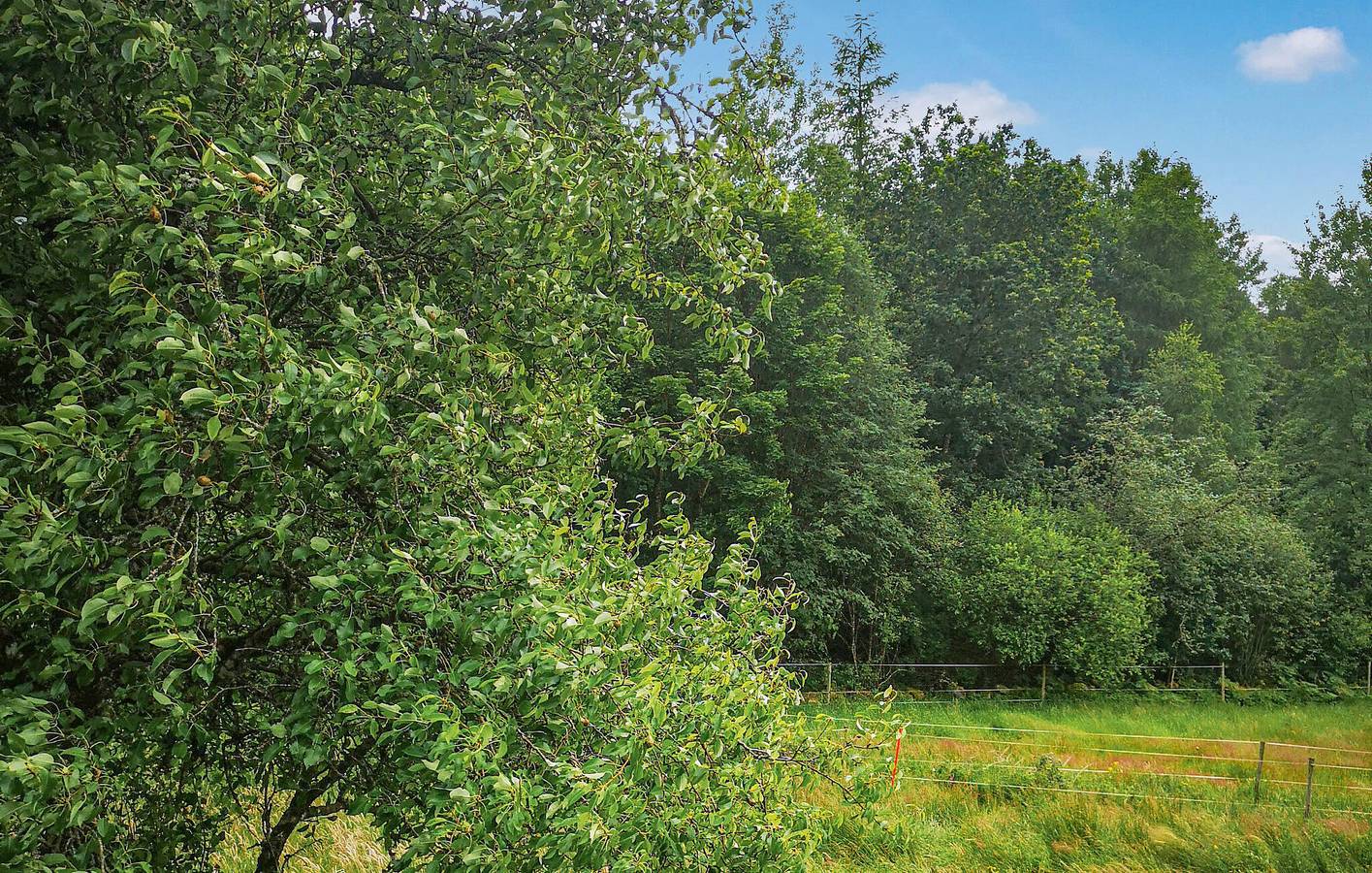 Ferienhaus für 7 Personen mit Garten in Marks Kommun, Västergötland