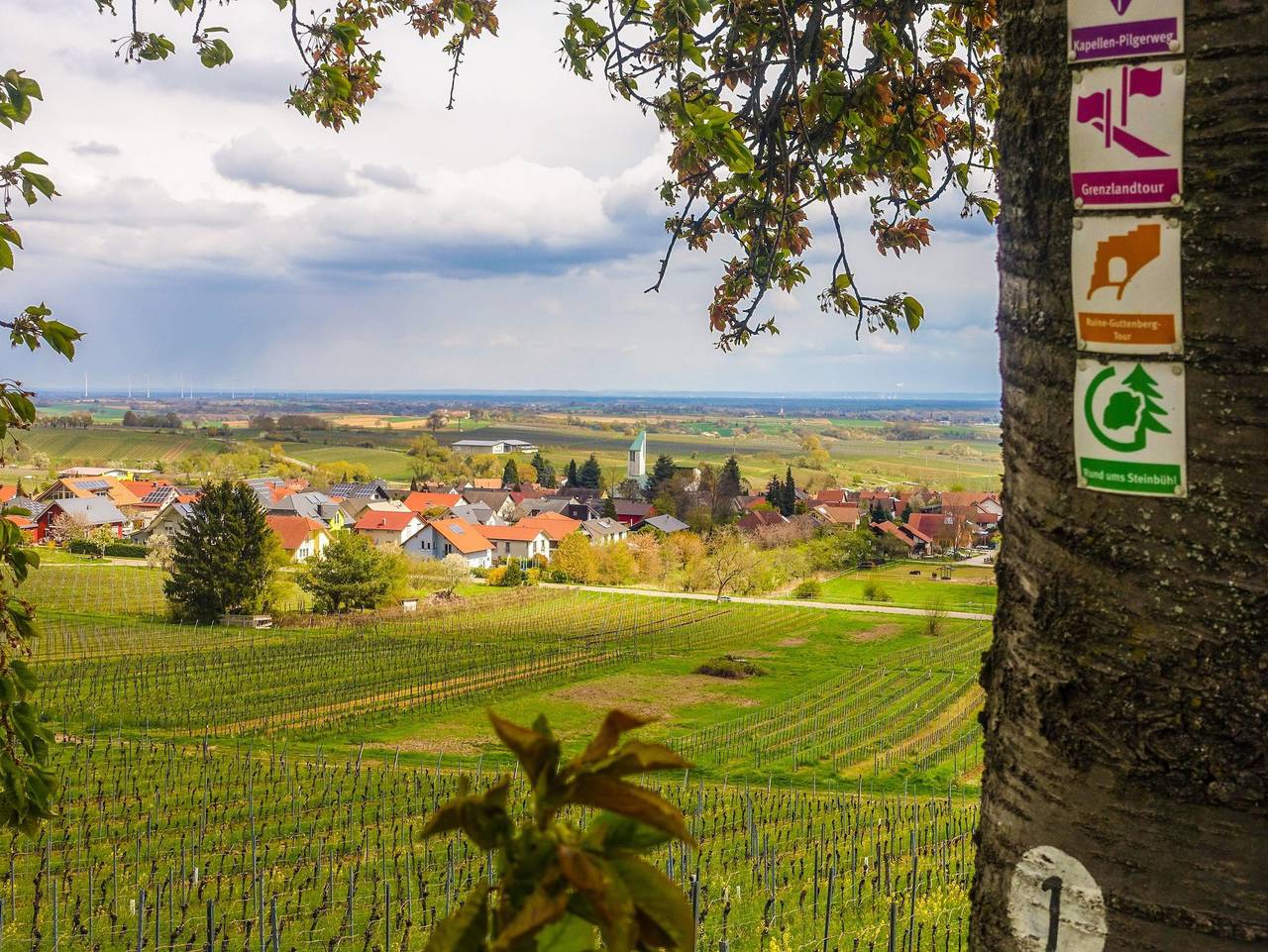 Amelie N°3 Schweigen-Rechtenbach - Amelie Loft in Schweigen-Rechtenbach, Südliche Weinstraße