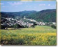 Ferienhaus für 3 Personen, mit Haustier in Birresborn - 3