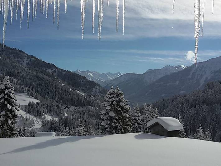 Bauernhaus für 3 Personen, mit Haustier in Österreich - 3
