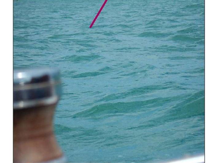 Ferienwohnung für 2 Personen, mit Balkon und Seeblick, kinderfreundlich in Ueberlinger see - 4