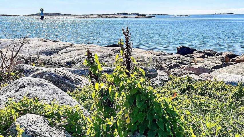 Ferienhaus für 3 Personen, mit Pool in Öckerö - 4