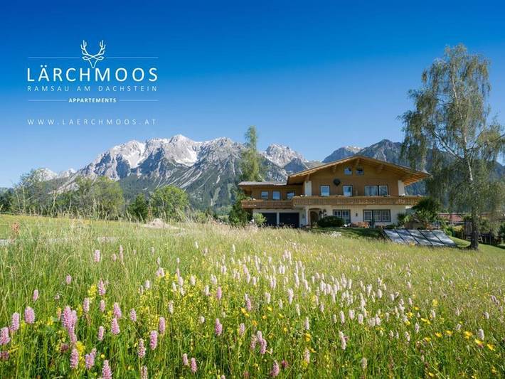 Ganze Ferienwohnung, Appartements Lärchmoos - App. C | 55m² | 2-4 Personen | 1 Schlafzimmer in Ramsau am Dachstein, Schladming-Dachstein
