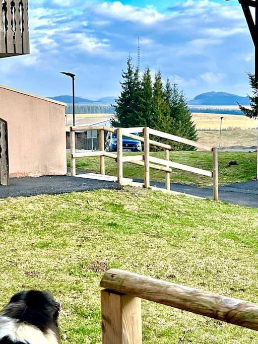 Appartement de vacances pour 6 personnes, avec jardin et sauna ainsi que vue et piscine, animaux acceptés - 1