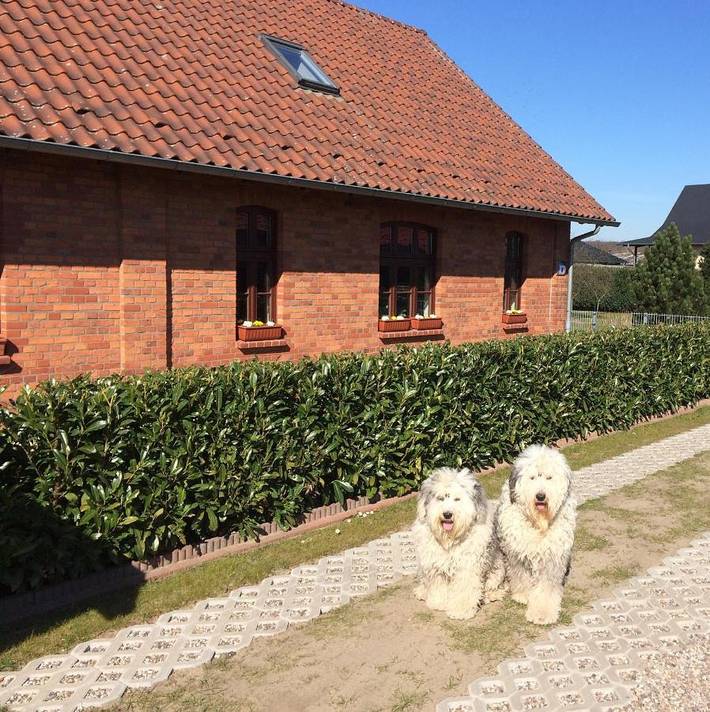 Ferienwohnung für 6 Personen, mit Terrasse und Garten sowie Ausblick