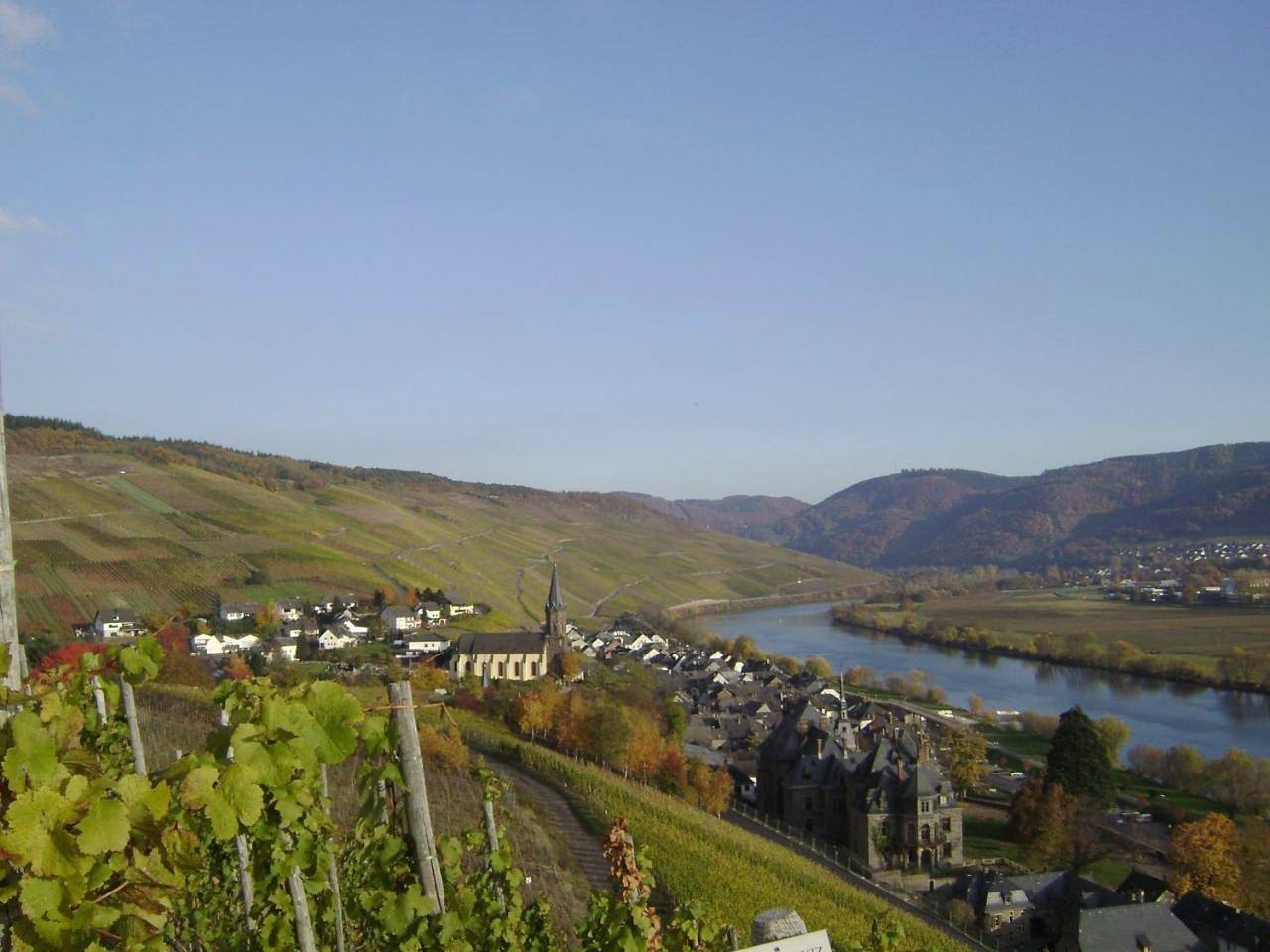 Wein- und Gästehaus Genetsch in Lieser, Bernkastel-Kues & Umgebung