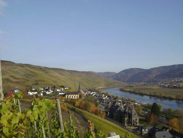Ferienhaus für 6 Personen, mit Balkon und Terrasse sowie Garten und Ausblick in Lieser - 3