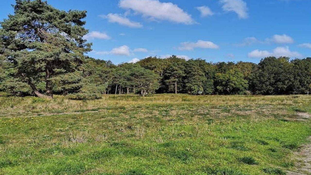 Ferienhaus für 5 Personen (42 m²) in Rørvig in Rørvig, Nordwestseeland