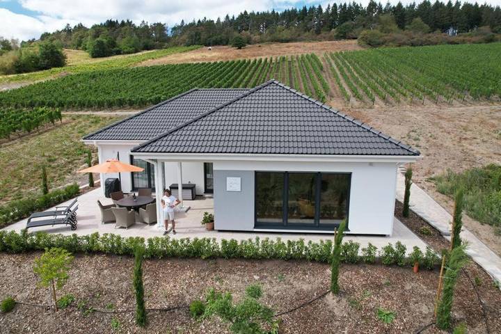 Ferienhaus für 6 Personen, mit Garten und Ausblick, mit Haustier in Traben-Trarbach - 2