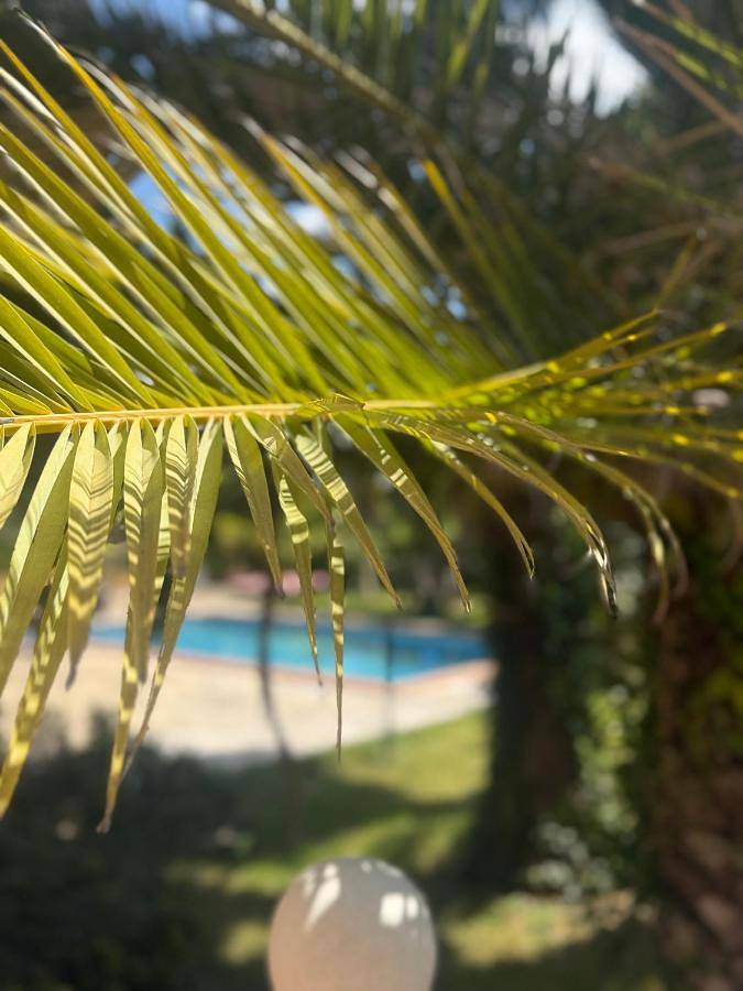 Casa de familia para 2 personas, con piscina además de jacuzzi y jardín en Valls