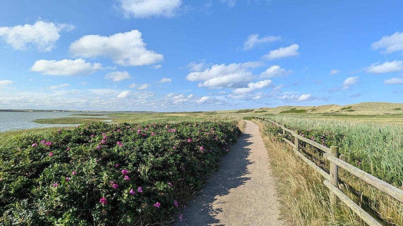 Ferienhaus für 6 Personen (97 m²) in Skibby in Vellerup, Skibby
