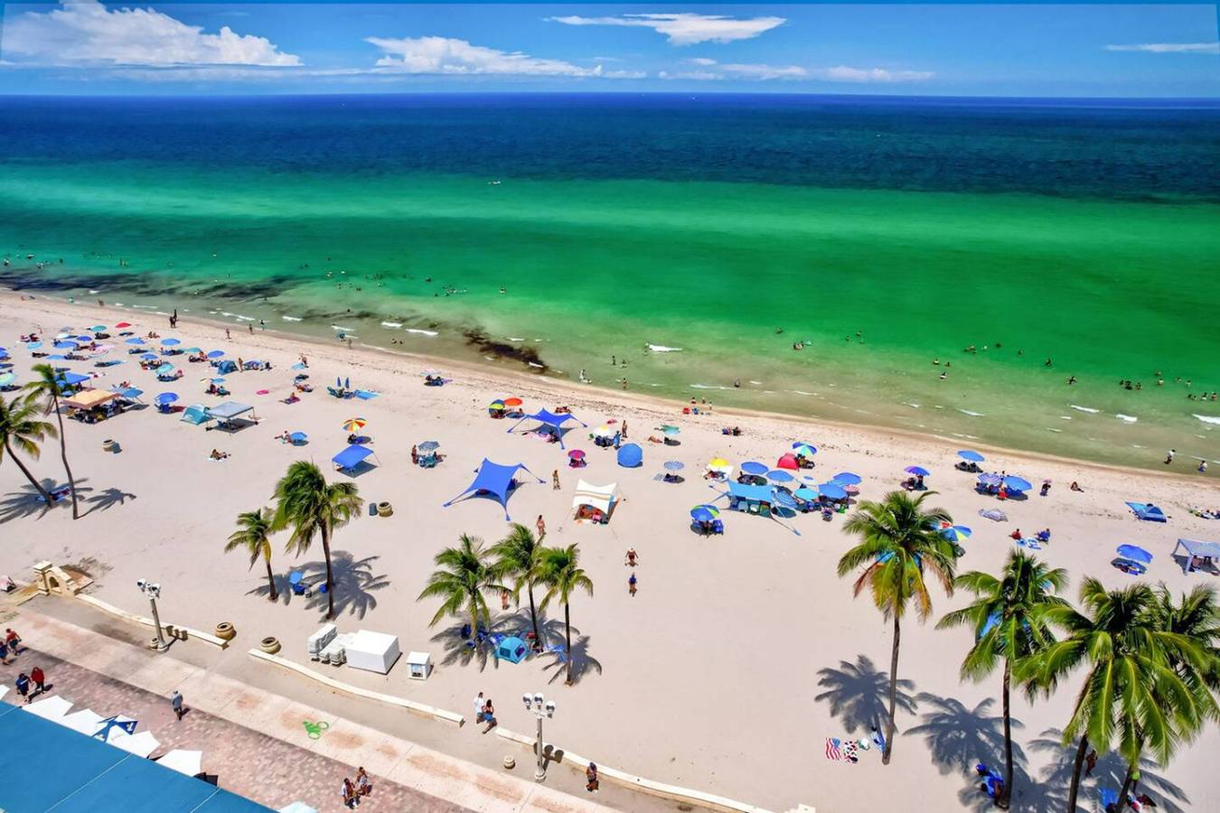 Apartamento entero, New! New! Ocean Oasis in Hollywood Beach (FL), Hollywood (Florida)