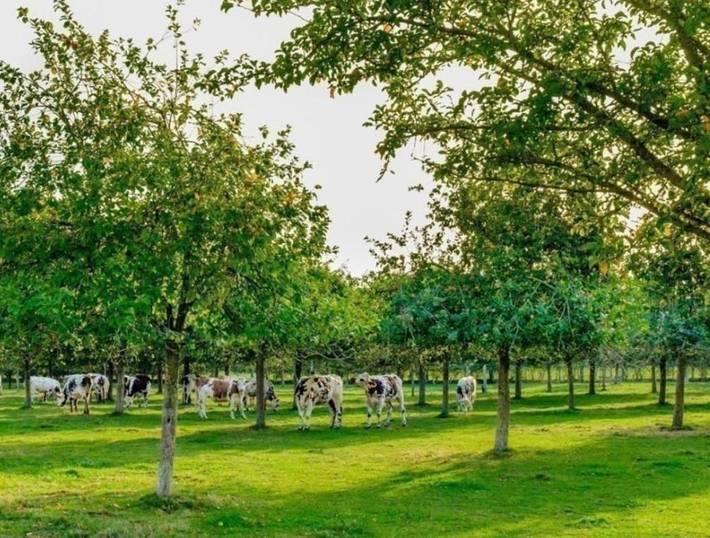 Location de vacances pour 2 personnes à Équemauville - 2